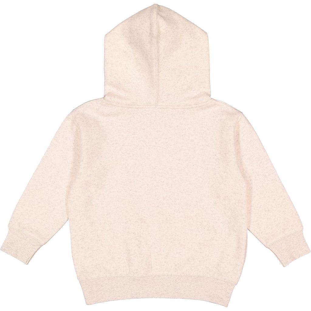 Toddler Hoodie Z951