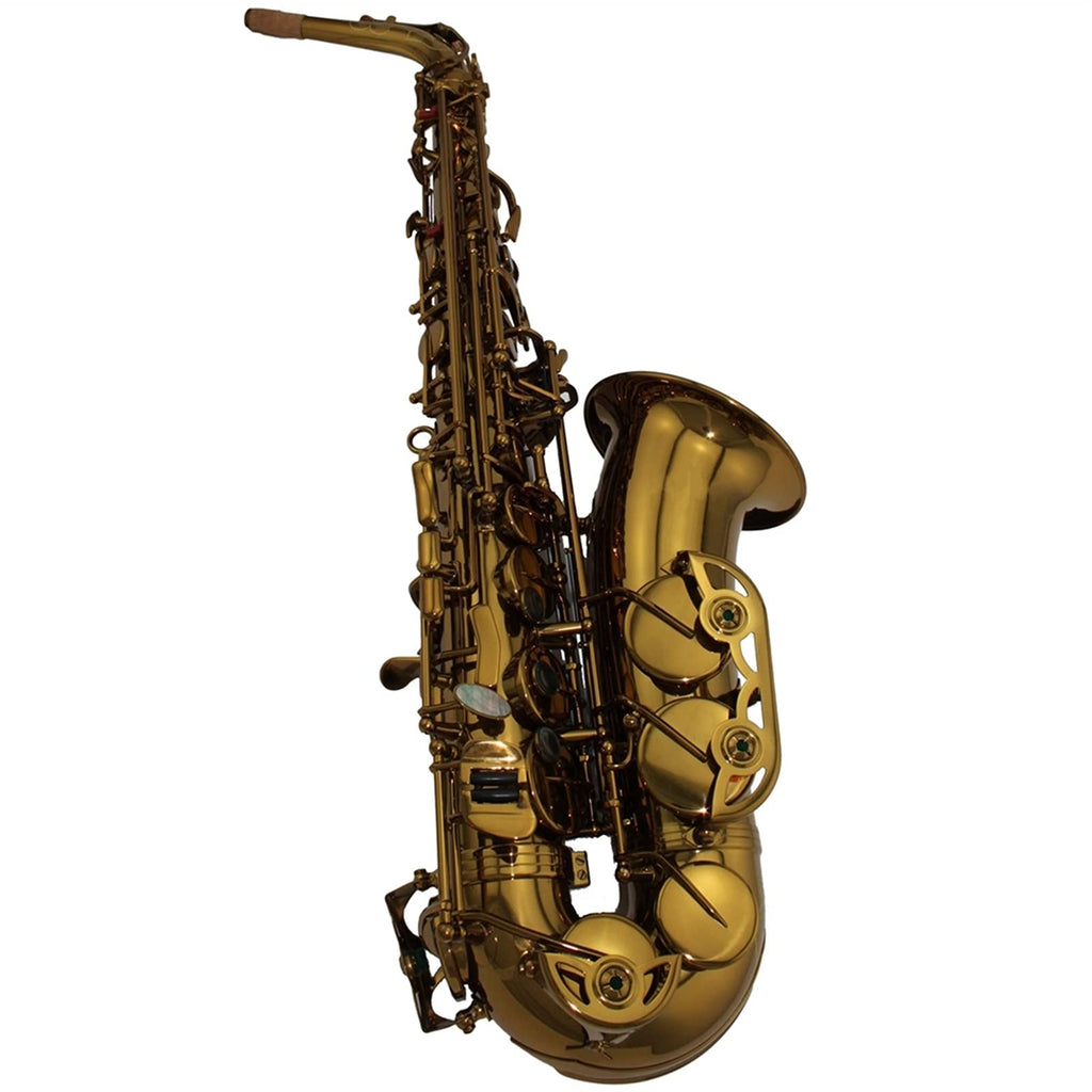 Alto Saxophone Set W962