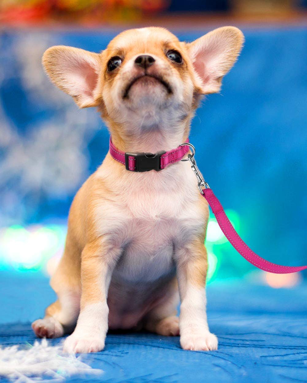 Reflective Adjustable Pink Dog Collar W149039