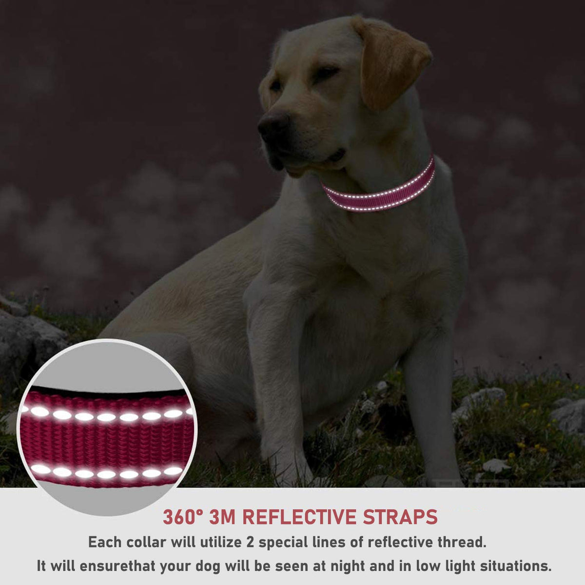 Reflective Adjustable Pink Dog Collar W149039