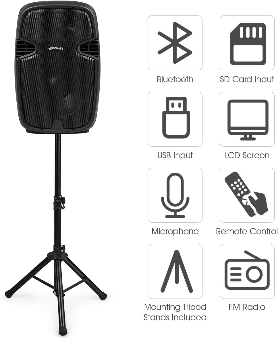 Portable 15" PA Speaker System Set D139