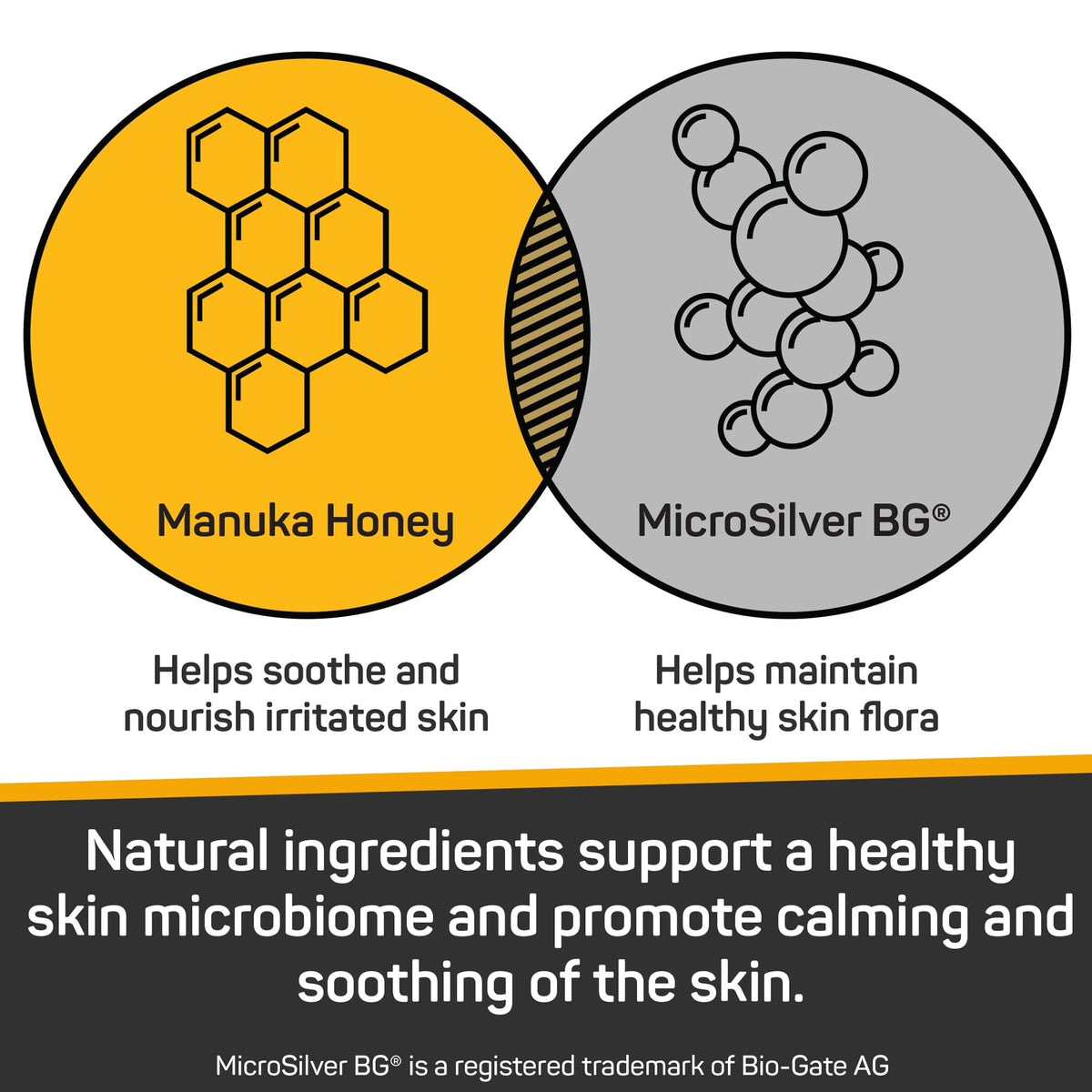 Silver Honey Skin & Coat Care Grooming 2pc Combo X210007