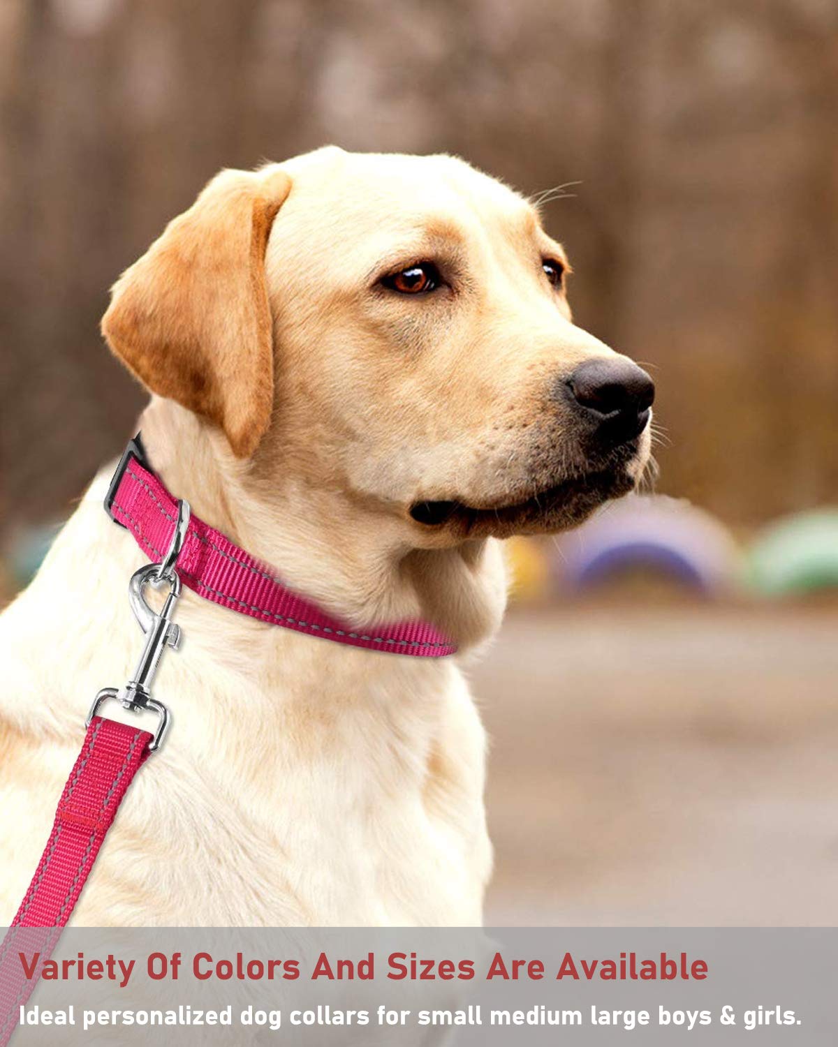 Reflective Adjustable Pink Dog Collar W149039