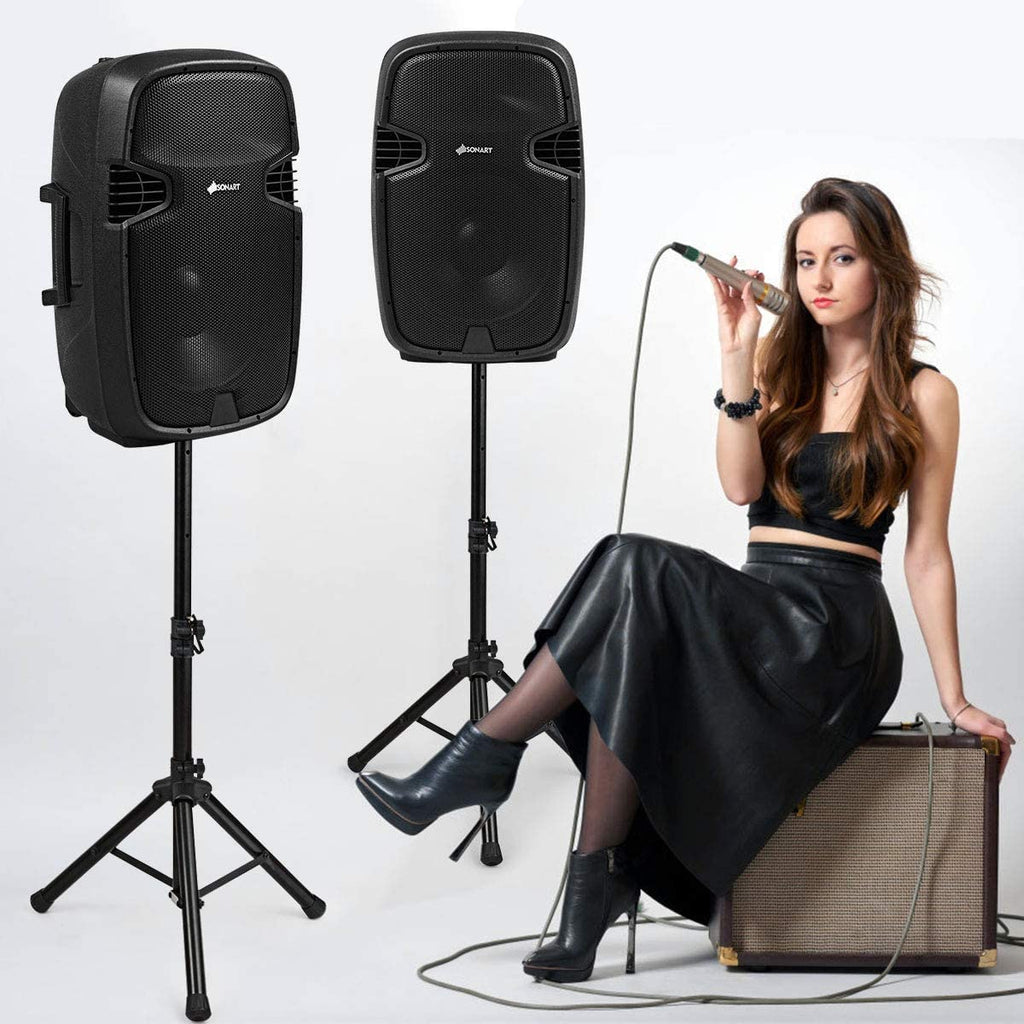 Portable 15" PA Speaker System Set D139