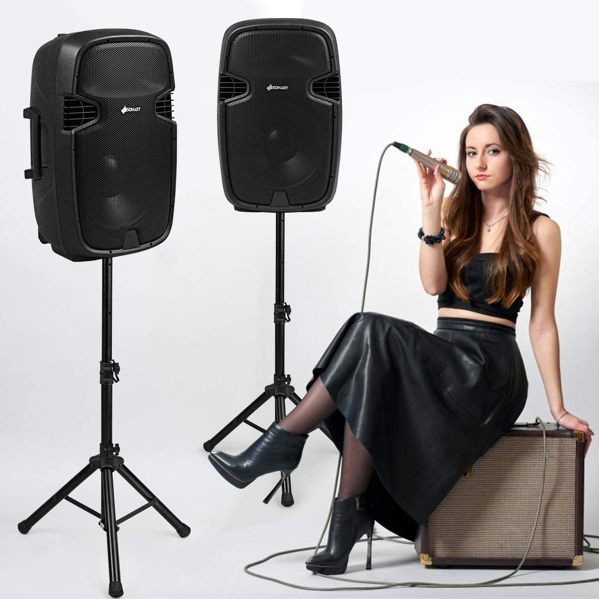 Portable 15" PA Speaker System Set D139