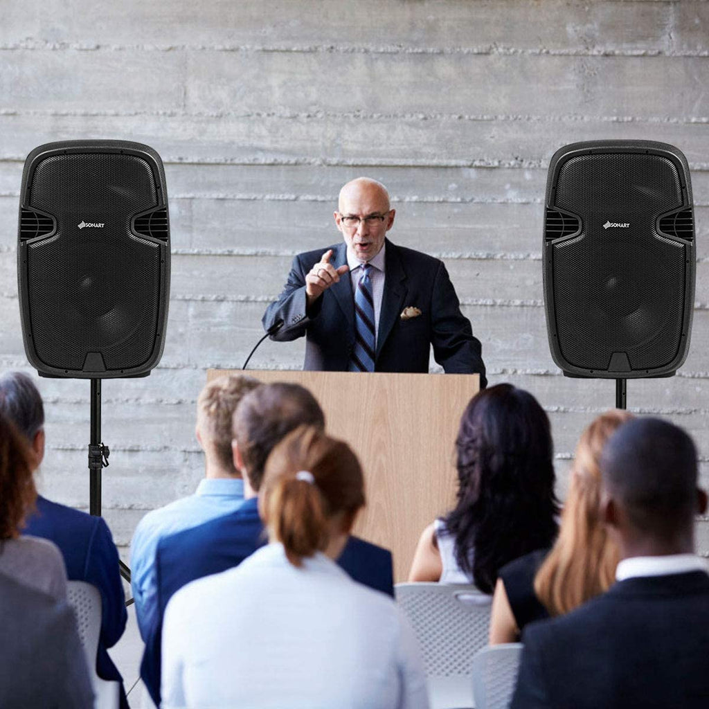 Portable 15" PA Speaker System Set D139