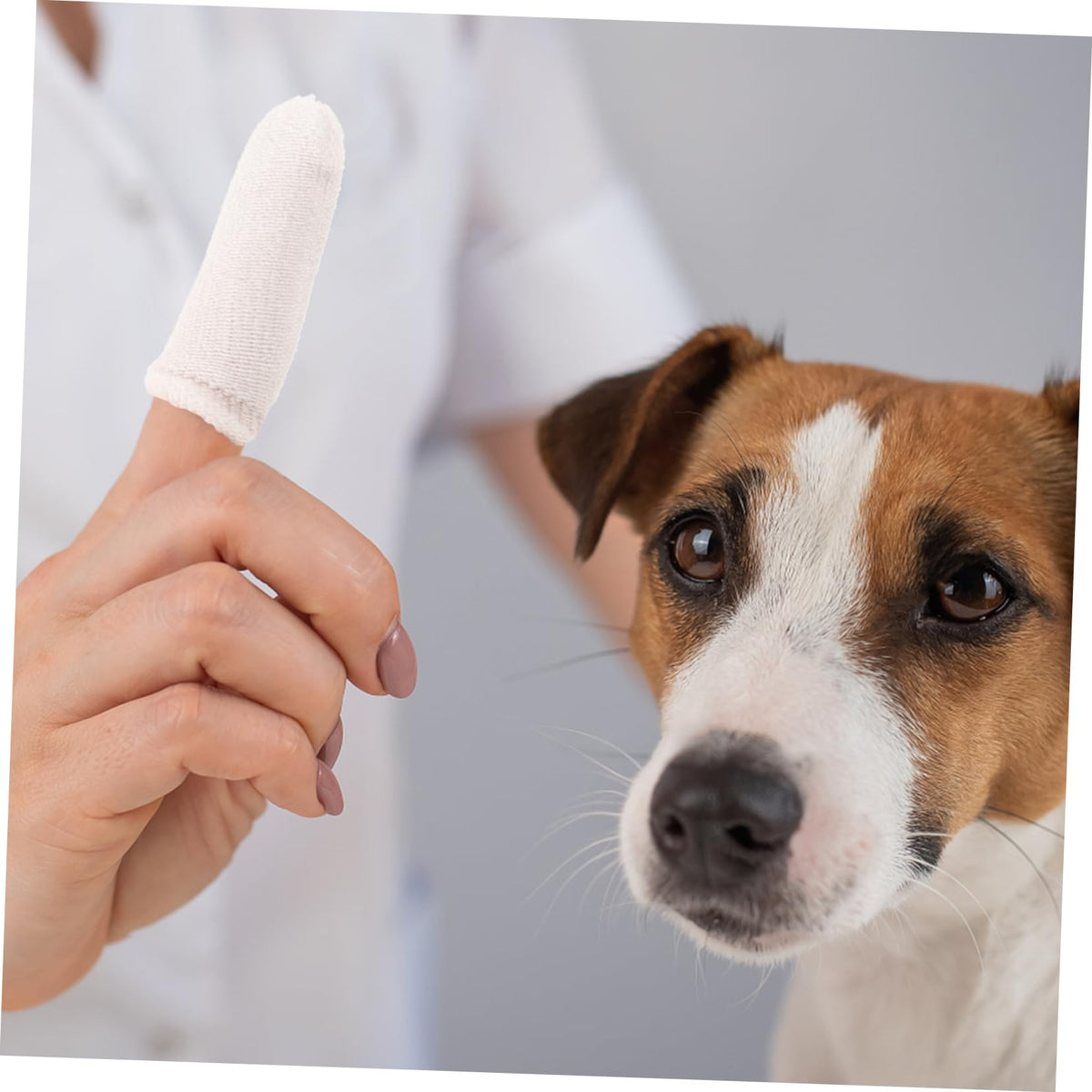 White Nylon Pet Finger Toothbrush 10pcs W388670