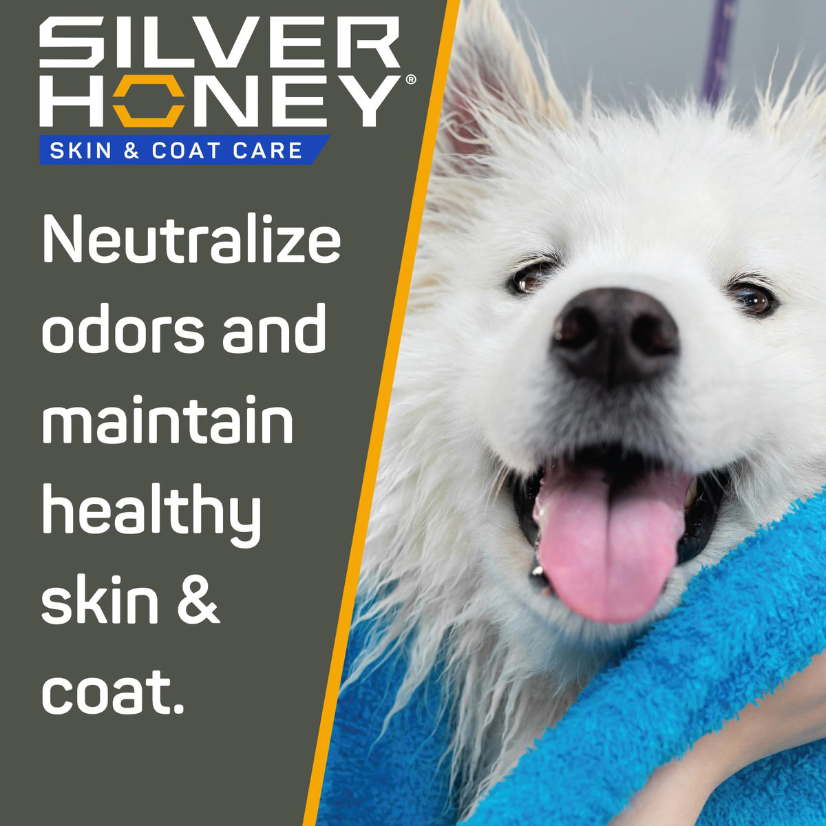 Silver Honey Skin & Coat Care Grooming 2pc Combo X210007