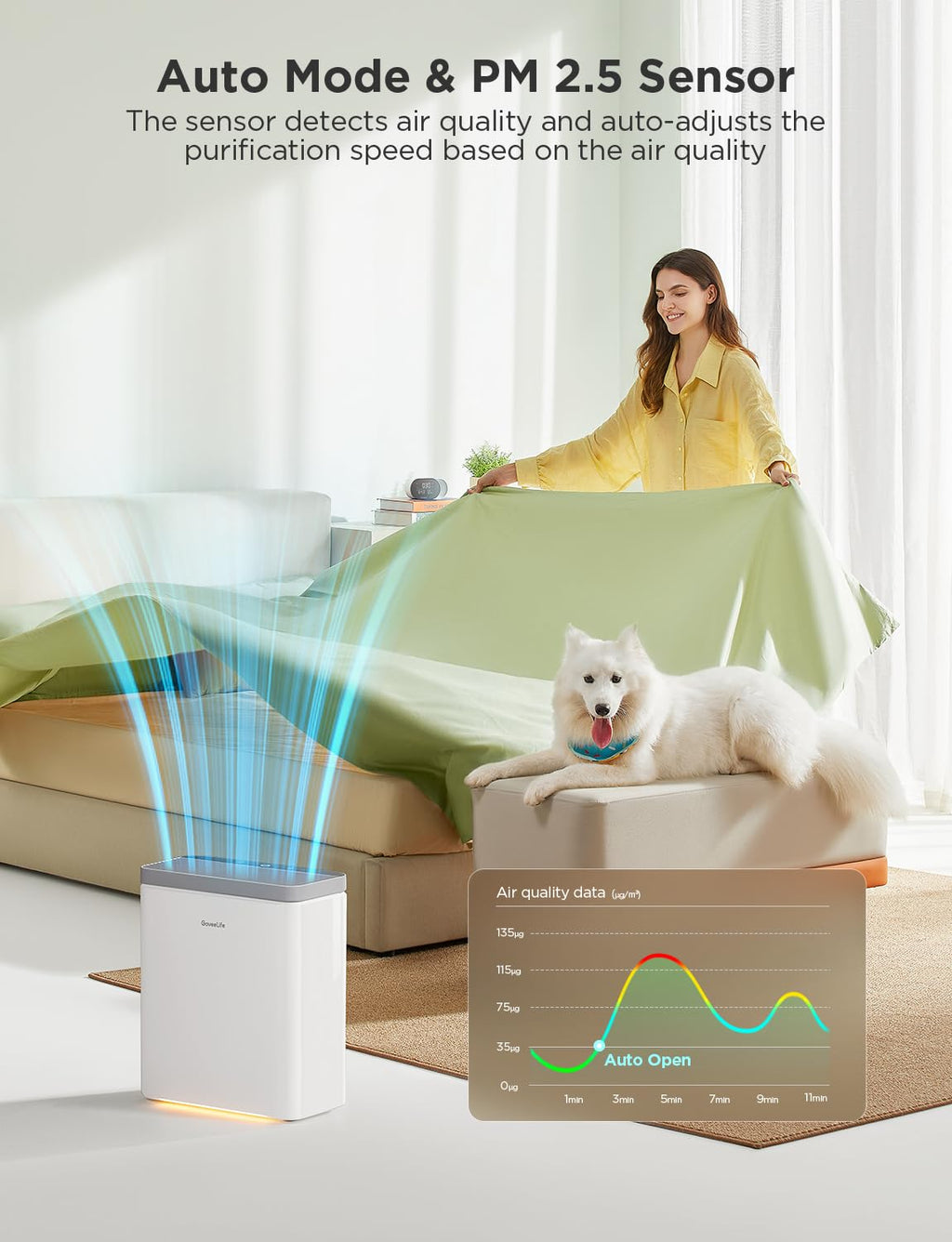 Dehumidifier with Air Purifier E793