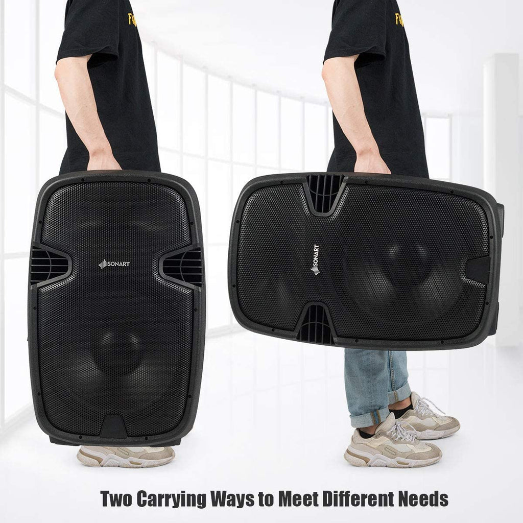 Portable 15" PA Speaker System Set D139