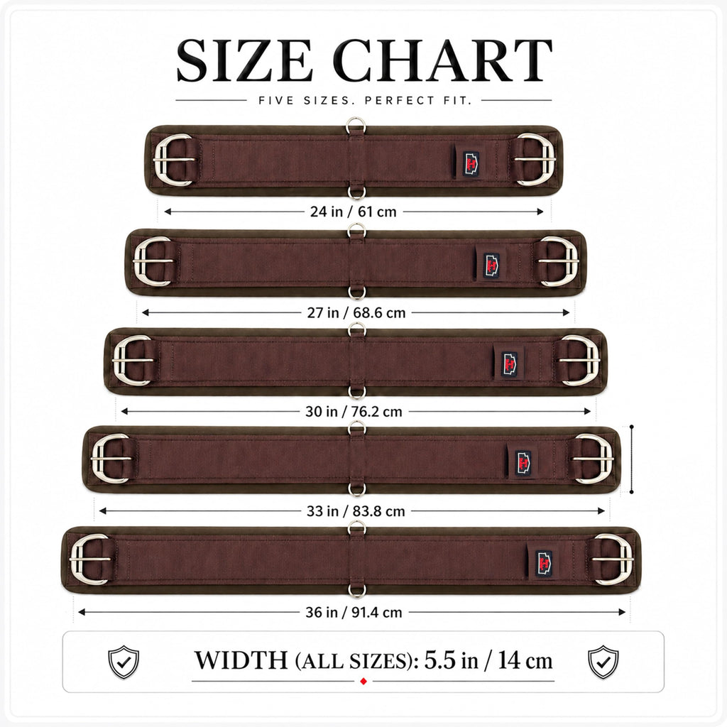 Western Horse Cinch with Stainless Steel Buckles F386780