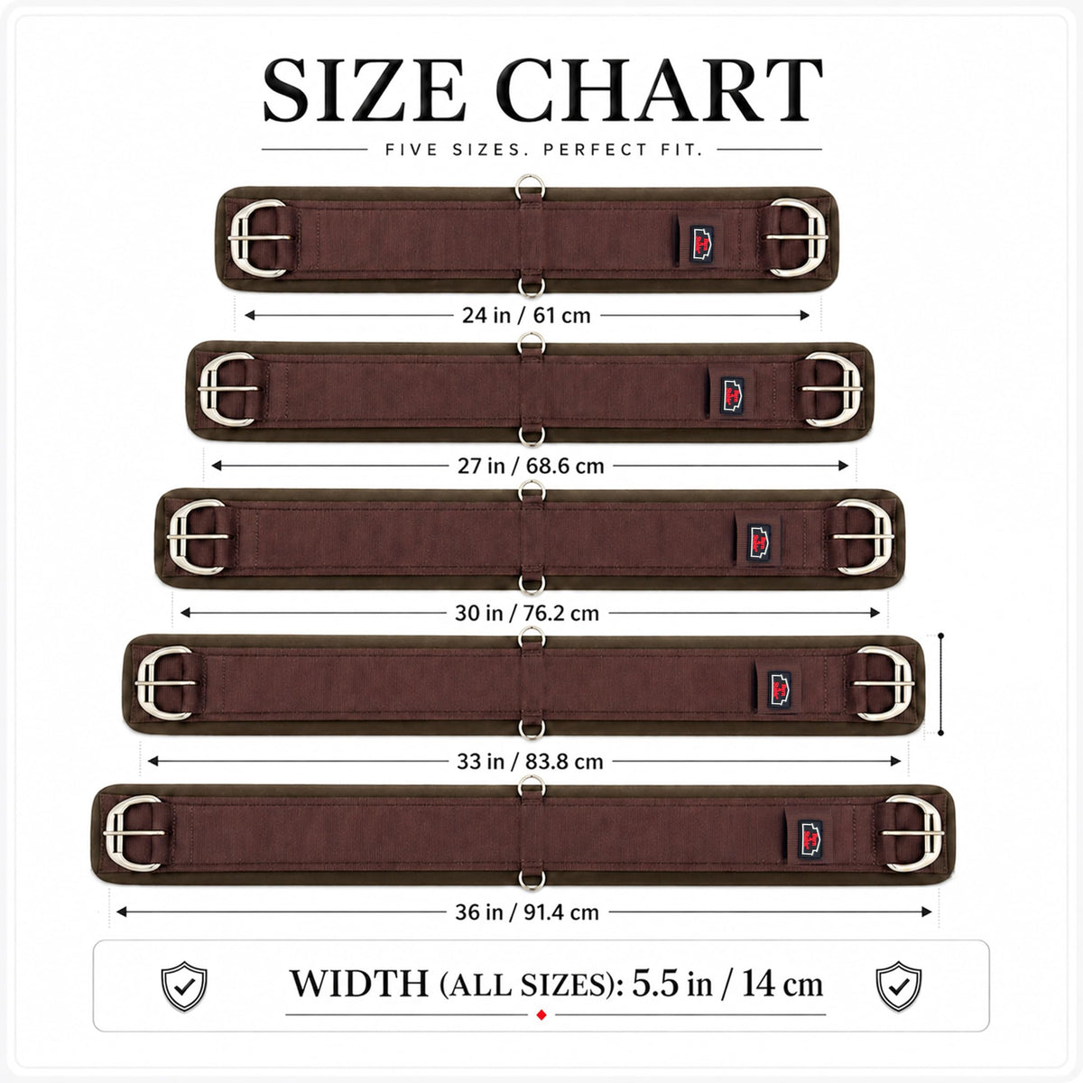 Western Horse Cinch with Stainless Steel Buckles F386780