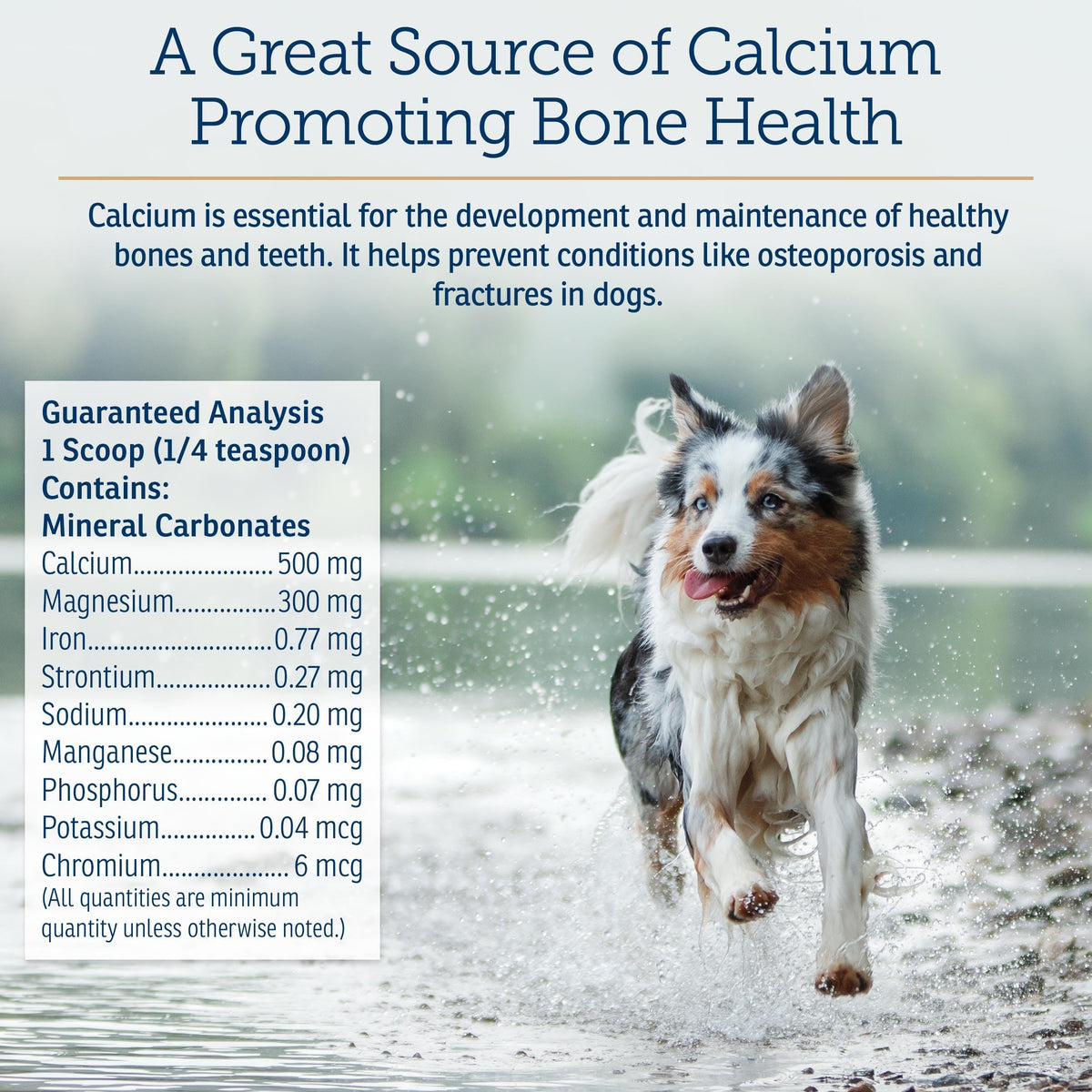 Canine Minerals 16oz Y66994