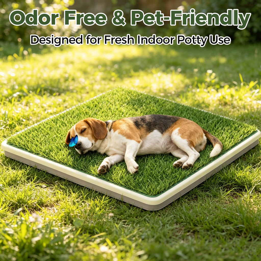 Dog Grass Pad with Tray, 2 Washable Grass Pads O18811